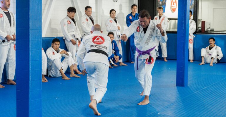 Fighting BJJ Self-defense near me